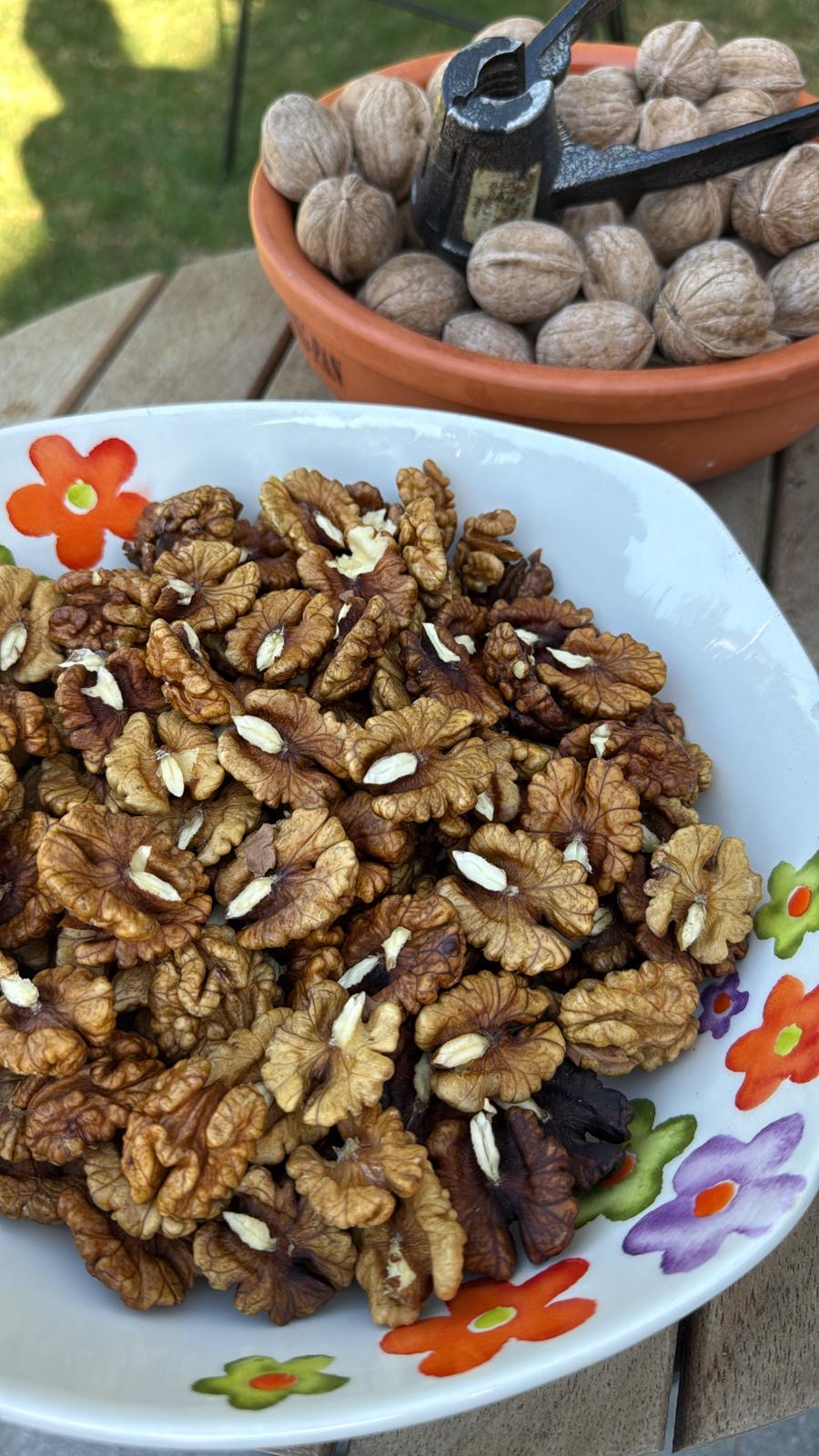 Maraş 18 Cevizi (Kurutulmuş)